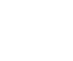 Denkyem logo